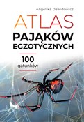 Atlas pają... - Angelika Dawidowicz -  foreign books in polish 