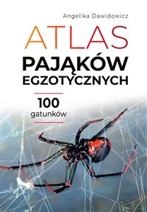 Picture of Atlas pająków egzotycznych 100 gatunków