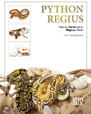 Picture of BROGHAMMER, S: PYTHON REGIUS