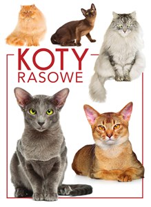 Picture of Koty rasowe