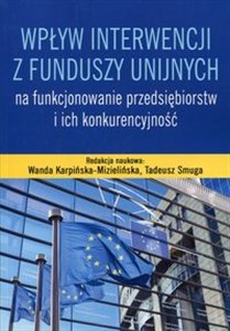 Obrazek Wpływ interwencji z funduszy unijnych na funkcjonowanie przedsiębiorstw i ich konkurencyjność