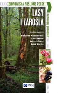 Picture of Zbiorowiska roślinne Polski Lasy i zarośla Ilustrowany przewodnik