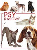 polish book : Psy rasowe... - Izabela Przeczek