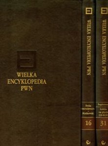 Picture of Wielka encyklopedia PWN Tom 16-31