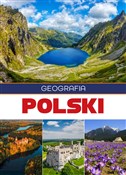 Geografia ... - Elżbieta Majerczak, Marek Majerczak -  Książka z wysyłką do UK