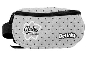 Picture of Saszetka na pas PPAH20-510 PASO