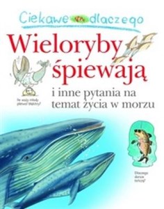 Obrazek Ciekawe dlaczego Wieloryby śpiewają i inne pytania na temat życia w morzu