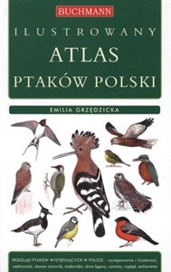 Picture of Ilustrowany atlas ptaków polski