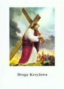 Droga Krzy... - Opracowanie Zbiorowe -  foreign books in polish 