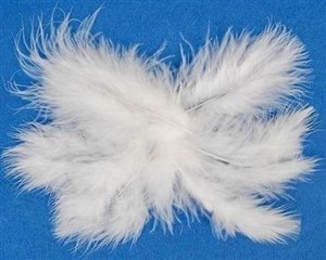 Picture of Piórka białe 10g