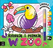 Koloruję i... - Opracowanie Zbiorowe -  Polish Bookstore 