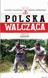 Obrazek Polska Walcząca Tom 17 Kedyw