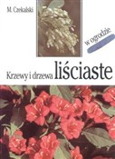 Książka : Krzewy i d... - Mieczysław Czekalski