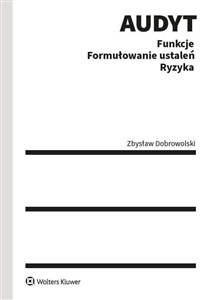 Picture of Audyt Funkcje Formułowanie ustaleń Ryzyka