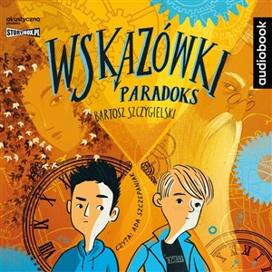 Picture of [Audiobook] CD MP3 Paradoks. Wskazówki. Tom 2