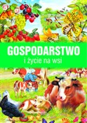 Książka : Gospodarst... - Francisco Arredondo