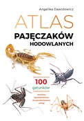 Książka : Atlas paję... - Angelika Dawidowicz