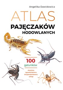 Picture of Atlas pajęczaków hodowlanych. 100 gatunków