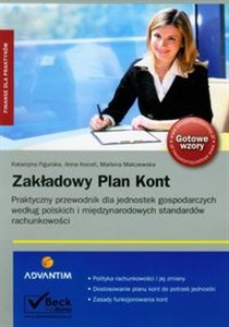 Obrazek Zakładowy plan kont