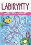 Labirynty.... - Piotr Kozera -  books from Poland