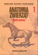 Anatomia z... - Kazimierz Krysiak, Henryk Kobryń, Franciszek Kobryńczuk - Ksiegarnia w UK