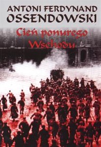 Obrazek Cień ponurego Wschodu za kulisami życia rosyjskiego