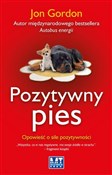 Polska książka : Pozytywny ... - Jon Gordon