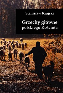 Picture of Grzechy główne polskiego Kościoła
