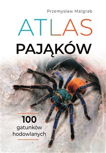 Obrazek Atlas pająków
