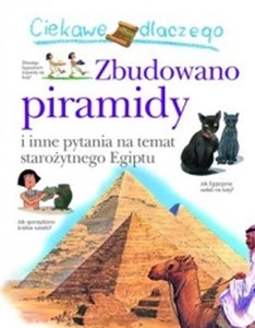Obrazek Ciekawe dlaczego Zbudowano piramidy i inne pytania na temat starożytnego Egiptu