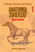Anatomia z... - Kazimierz Krysiak, Henryk Kobryń, Franciszek Kobryńczuk -  foreign books in polish 