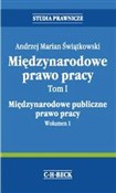 Międzynaro... - Andrzej Marian Świątkowski -  Polish Bookstore 