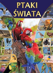 Picture of Ptaki świata