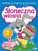Polska książka : Słoneczna ... - Leszek Miłoszewski