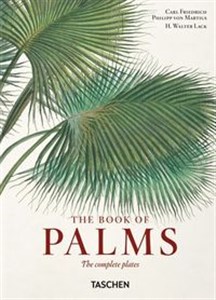 Picture of Martius. The Book of Palms. 40th Ed.