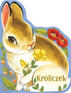 Picture of Kroliczek