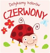 Książka : Dotykamy k...