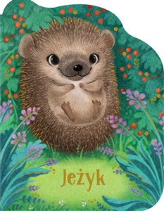 Picture of Jeżyk