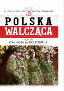 Obrazek Polska Walcząca Tom 19 Osa, Kosa 30, Kolegium A