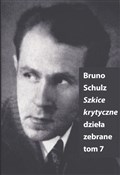 Polska książka : Szkice Kry... - Bruno Schulz