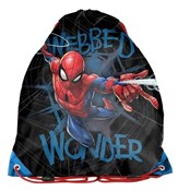 Polska książka : Worek na b...