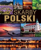 Skarby Pol... - Anna Willman -  books in polish 