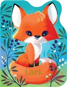 polish book : Lisek - Rosalee Wren
