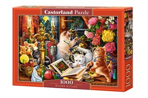 Picture of Puzzle Wizard Kittens 1000 C-104857-2