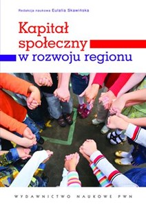 Obrazek Kapitał społeczny w rozwoju regionu