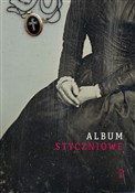 Album Styc... - Opracowanie Zbiorowe -  books from Poland