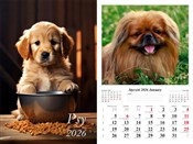 Zobacz : Kalendarz ...