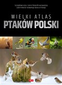 Zobacz : Wielki atl... - Opracowanie Zbiorowe