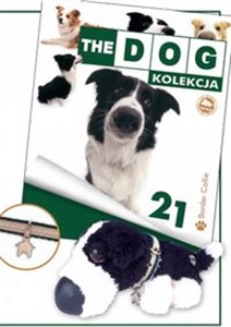 Picture of Dog Kolekcja 21 Border Collie