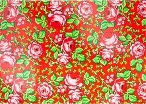 Obrazek Pocztówka - Nr.21 Góralska czerwona FOLKSTAR